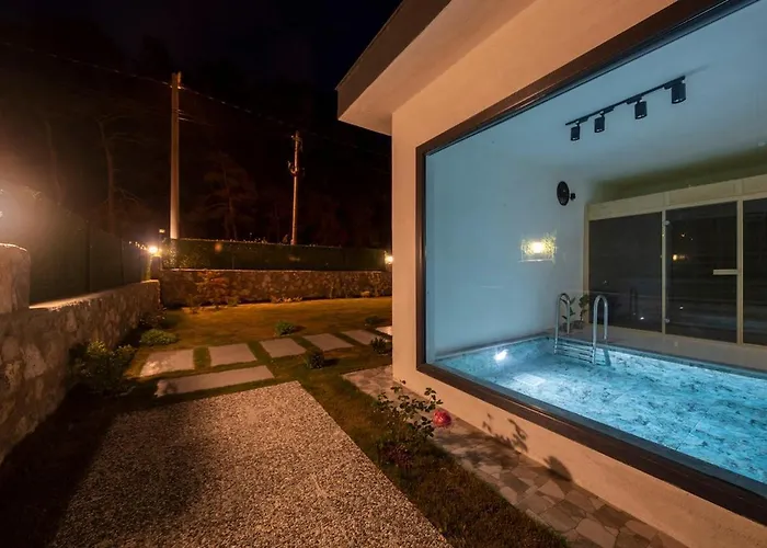 Villa Aloha Gocek Indoor Pool And Sauna