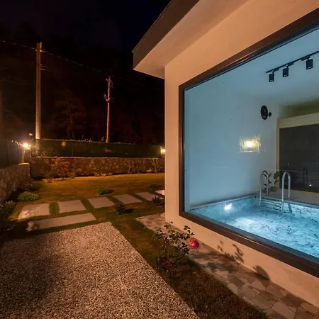 Villa Aloha Gocek Indoor Pool And Sauna