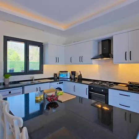 Aloha Gocek Indoor Pool And Sauna Villa *