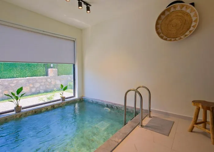 Vila Aloha Gocek Indoor Pool And Sauna