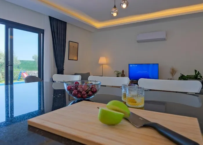 Villa Aloha Gocek Indoor Pool And Sauna *