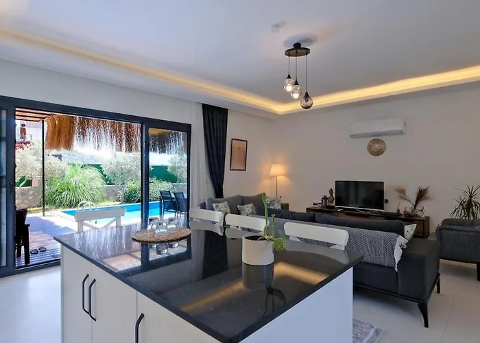 Aloha Gocek Indoor Pool And Sauna Vila