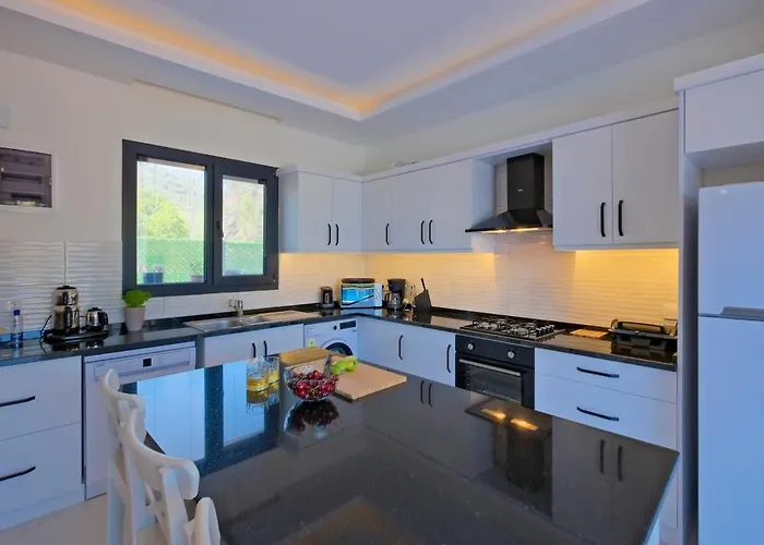 Aloha Gocek Indoor Pool And Sauna Villa *